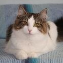 (1_charlotte1.jpg/6