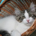 (IMG_6523.JPG/26