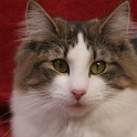 (IMG_7097.JPG/29