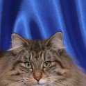 (IMG_1146.jpg/3