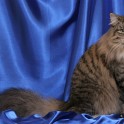(IMG_1153.jpg/5