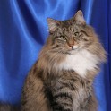 (IMG_1157.jpg/7