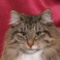 (IMG_1174.jpg/8