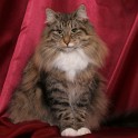 (IMG_1175.jpg/9