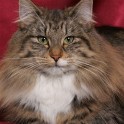 (IMG_1221.jpg/13