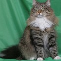 (IMG_1252.jpg/21