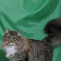 (IMG_1255.jpg/22