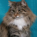 (IMG_1262.jpg/23
