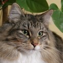 (IMG_1614.JPG/24
