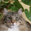 (IMG_1620.JPG/25