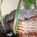 (IMG_1633.JPG/26