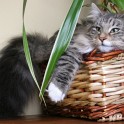 (IMG_1635.JPG/27