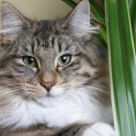 (IMG_1638.JPG/28