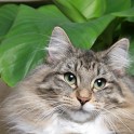 (IMG_1656.JPG/29
