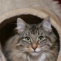 (IMG_1661.JPG/30