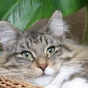 (IMG_1679.JPG/31