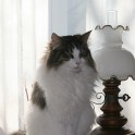 (IMG_7102.JPG/14