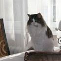 (IMG_7106.JPG/17