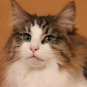 (IMG_9769.JPG/18