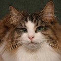 (IMG_9776.JPG/22