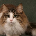 (IMG_9780.JPG/25