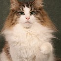 (IMG_9783.JPG/28